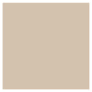 Webercolor Premium stucco decorativo 5kg Weber